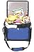 Insulated Cooler Bag