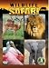 Wildlife Safari