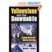 Yellowstone and the Snowmobile: Locking Horns over National Park Use