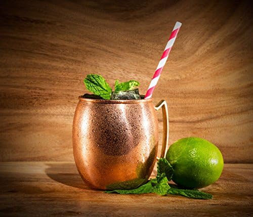 Moscow Mule Mug 16-Ounce Solid Copper with Brass Handle - Schultze Imports