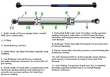 GT Factory Struts