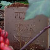 100% Pure Hawaiian Kona Coffee Soap