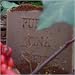 100% Pure Hawaiian Kona Coffee Soap