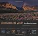 Yellowstone to Yukon: Freedom to Roam