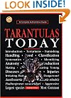 Tarantulas Today