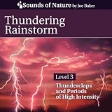 Thundering Rainstorm