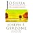 Joshua: The Homecoming