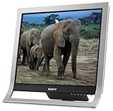 Sony XBrite SDM-HS95P/S 19" LCD Monitor (Silver)