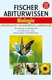 Fischer Abiturwissen Biologie - 
