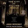 The City of Falling Angels