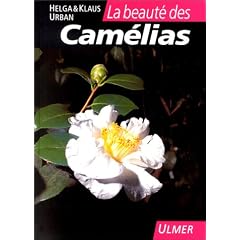 La beaut� des cam�lias