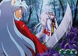 Inuyasha Poster 4232