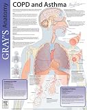 COPD and Asthma: Grays Anatomy Poster Series