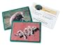 Learning Resources Animal Classifying Cards, Deserts