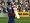 Brian Lara International Cricket (PS2)