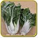 Chinese Cabbage Seeds - 'Wong Bok' Vegetable Seed Packet (2000 Seeds)
