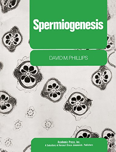 Spermiogenesis (Ultrastructure of cells and organisms)