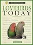 Lovebirds Today (Basic Domestic Pet Library)