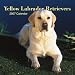 Yellow Labrador Retrievers 2007 Calendar