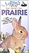 Babies of the Prairie (Baby Animals at Play)