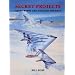 Secret Projects: Flying Wings and Tailless Aircraft