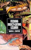 Feeding Insect Eating Lizards