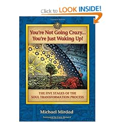 You're Not Going Crazy... You're Just Waking Up!: The Five Stages of the Soul Transformation Process