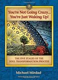 Youre Not Going Crazy...Youre Just Waking Up! The Five Stages of Soul Transformation Process