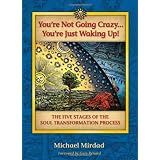 You're Not Going Crazy... You're Just Waking Up!: The Five Stages of the Soul Transformation Processby Michael Mirdad