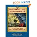 You're Not Going Crazy... You're Just Waking Up!: The Five Stages of the Soul Transformation Process
