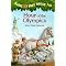 Visit A Magic Tree House