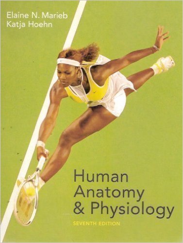 human anatomy and physiology