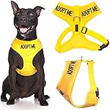 Adopt Me Yellow Color Coded Waterproof Padded Adjustable Non Pull Front and Back Ring Medium Vest Dog Harness Donate To Your Local Charity