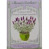 Renee's Container Lavender French Perfume Seeds 30 Seeds