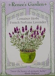 Renee's Container Lavender French Perfume Seeds