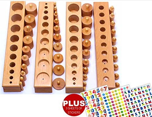 INTELLITOYZ Montessori Large Cylinder Blocks PLUS 3 sheets of Stickers