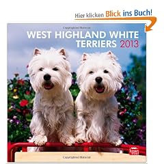 West Highland White Terriers 2013 - Westies - Original BrownTrout-Kalender