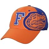 Men`s Florida Gators Alternate Logos Flex-Fit Cap