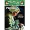 Veritas Academy American History Curriculum Leif to the Revolution