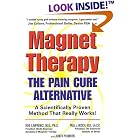 Magnet Therapy: The Pain Cure Alternative by  Judith Plowden