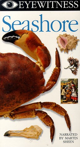 Eyewitness - Seashore
