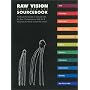 Raw Vision Outsider Art Sourcebook