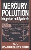 Mercury Pollution Integration and Synthesis