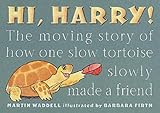 Hi, Harry!