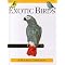 Avian Care Guides