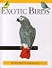 Exotic Birds (Pocket Companion)