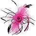 Fascinator Hats Flower Mesh Feathers Wedding Kentucky Derby Headband Clip Tea Party Cocktail Headwear for Girls and Women (Fuschia)
