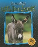 Little Donkeys (Born to Be Wild)