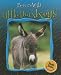 Little Donkeys (Born to Be Wild)