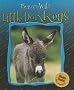Little Donkeys (Born to Be Wild) Little Donkeys (Born to Be Wild)
